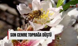 Son Cemre Toprağa Düştü