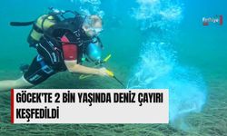 Göcek'te 2 Bin Yaşında Deniz Çayırı Keşfedildi