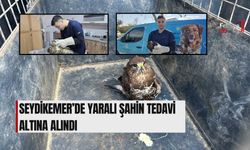 Seydikemer’de Yaralı Şahin Tedavi Altına Alındı