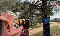 Kaçak Döküm Yapanlar Fotokapandan Kaçamadı