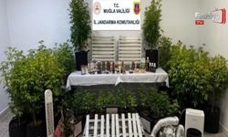 Muğla'da 15'inci Yüzyıla Ait Tevrat Ele Geçirildi