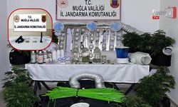 Muğla Jandarmasından Zehir Tacirlerine Mart Ayı Darbesi: 173 Gözaltı