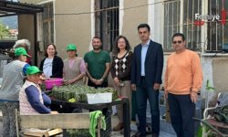 Çağla Turşusu Bereketi: Kadın Üreticilerden Ekonomiye Katkı