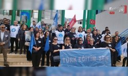 Türk Eğitim Sen'den Siverek Saldırısına Tepki: İş Bırakma Eylemi