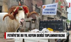 Fethiye’de Bu Yıl Koyun Derisi Toplanmayacak