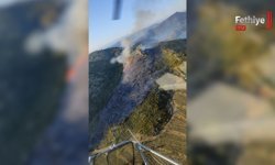 Marmaris'teki Orman Yangını Kontrol Altına Alındı