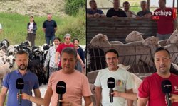 Karaca Kurbanlıkta Kurbanlıklar Satışta