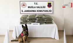 Jandarmadan Uyuşturucuya Geçit Yok