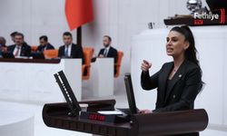 Muğla Milletvekili Gizem Özcan; “Orman Alanları Ranta Teslim Edilemez!”