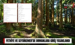 Fethiye ve Seydikemer’de Ormanlara Giriş Yasaklandı