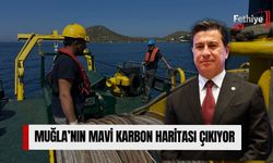 Muğla’nın Mavi Karbon Haritası Çıkıyor
