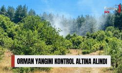 Orman Yangını Kontrol Altına Alındı