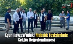 Eşen Havzası’ndaki Alabalık Tesislerinde Sektör Değerlendirmesi
