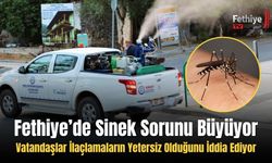 Fethiye’de Sinek Sorunu Büyüyor: Vatandaşlar İlaçlamaların Yetersiz Olduğunu İddia Ediyor