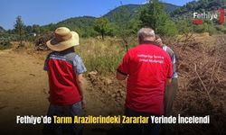 Fethiye’de Tarım Arazilerindeki Zararlar Yerinde İncelendi
