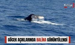 Göcek Açıklarında Balina Görüntülendi