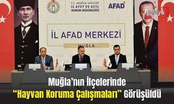 Muğla’nın İlçelerinde “Hayvan Koruma Çalışmaları” Görüşüldü