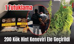 200 Kök Hint Keneviri Ele Geçirildi, 1 Tutuklama