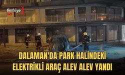 Park Halindeki Elektrikli Araç Alev Alev Yandı