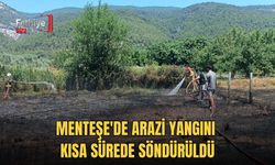 Menteşe'de Arazi Yangını Kısa Sürede Söndürüldü