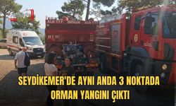 Seydikemer'de Aynı Anda 3 Noktada Orman Yangını Çıktı, Büyümeden Söndürüldü
