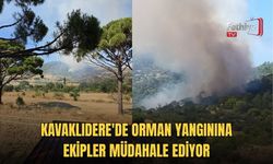Kavaklıdere'de Orman Yangınına Ekipler Müdahale Ediyor