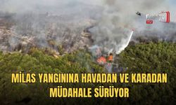 Milas Yangınına Havadan Ve Karadan Müdahale Sürüyor