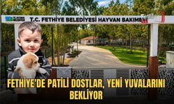 Fethiye'de Patili Dostlar, Yeni Yuvalarını Bekliyor