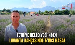Fethiye Belediyesi’nden Lavanta Bahçesinde 5’inci Hasat