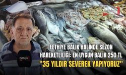 Fethiye Balık Halinde Sezon Hareketliliği: En Uygun Balık 250 TL