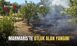 Marmaris’te Otluk Alan Yangını