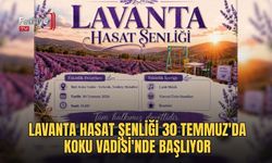 Lavanta Hasat Şenliği 30 Temmuz'da Koku Vadisi'nde Başlıyor