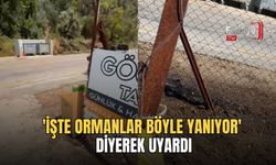 'İşte Ormanlar Böyle Yanıyor' Diyerek Uyardı