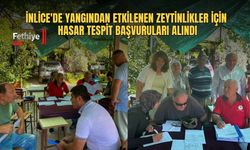 İnlice'de Yangından Etkilenen Zeytinlikler İçin Hasar Tespit Başvuruları Alındı