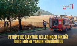 Fethiye'de Elektrik Tellerinden Çıktığı İddia Edilen Yangın Söndürüldü