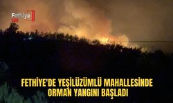 Fethiye'de Yeşilüzümlü Mahallesinde Orman Yangını Başladı