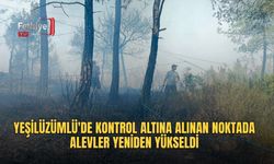 Yeşilüzümlü'de Kontrol Altına Alınan Noktada Alevler Yeniden Yükseldi