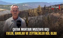 Çatak Muhtarı Mustafa Keş: Evler, Ahırlar Ve Zeytinlikler Kül Oldu