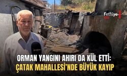 Orman Yangını Ahırı Da Kül Etti: Çatak Mahallesi’nde Büyük Kayıp
