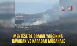 Menteşe'de Orman Yangınına Havadan Ve Karadan Müdahale