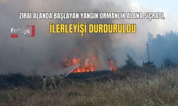 Zirai Alanda Başlayan Yangın Ormanlık Alana Sıçradı, İlerleyişi Durduruldu