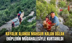 Kayalık Alanda Mahsur Kalan Oğlak Ekiplerin Müdahalesiyle Kurtarıldı