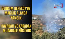 Bodrum Dereköy'de Makilik Alanda Yangın!