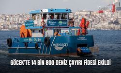 Göcek’te 14 Bin 800 Deniz Çayırı Fidesi Ekildi