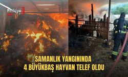 Samanlık Yangınında 4 Büyükbaş Hayvan Telef Oldu