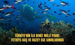 Türkiye'nin İlk Deniz Milli Parkı Fethiye-Kaş Ve Kuzey Ege Sınırlarında