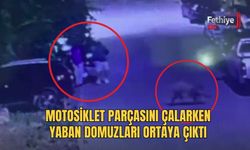 Motosiklet Parçasını Çalarken Yaban Domuzları Ortaya Çıktı