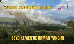 Seydikemer’de Orman Yangını