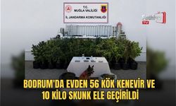 Bodrum'da Evden 56 Kök Kenevir Ve 10 Kilo Skunk Ele Geçirildi