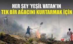 Her Şey 'Yeşil Vatan'ın Tek Bir Ağacını Kurtarmak İçin